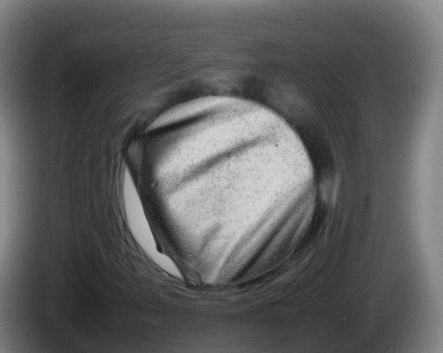 X0000086291347200704201915