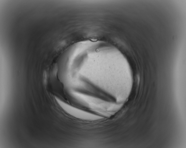 X0000086291348200704201915