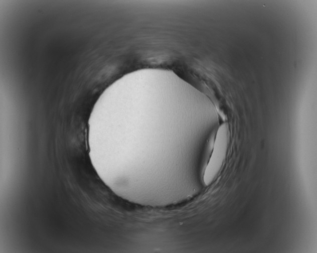 X0000086291349200704201915