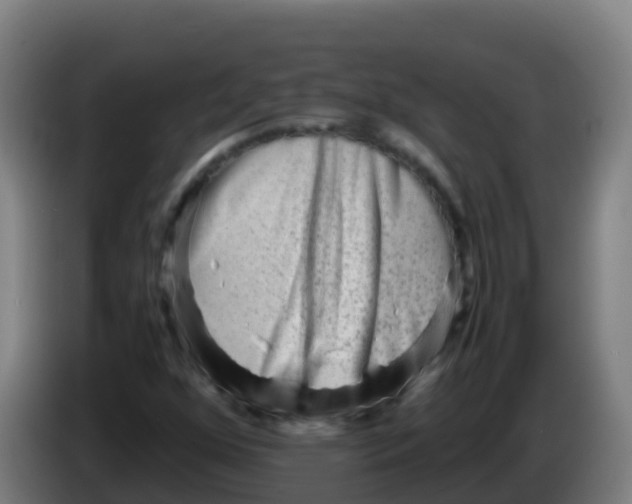 X0000086291352200704201915