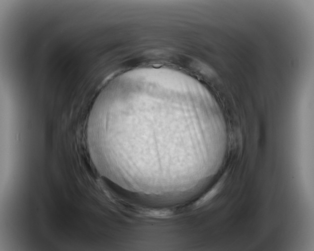 X0000086291353200704201915