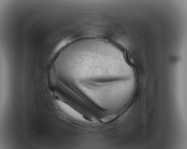 X0000086291355200704201915