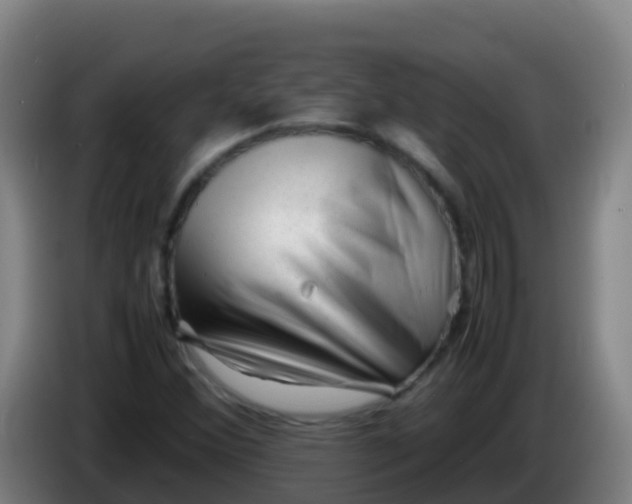 X0000086291356200704201915