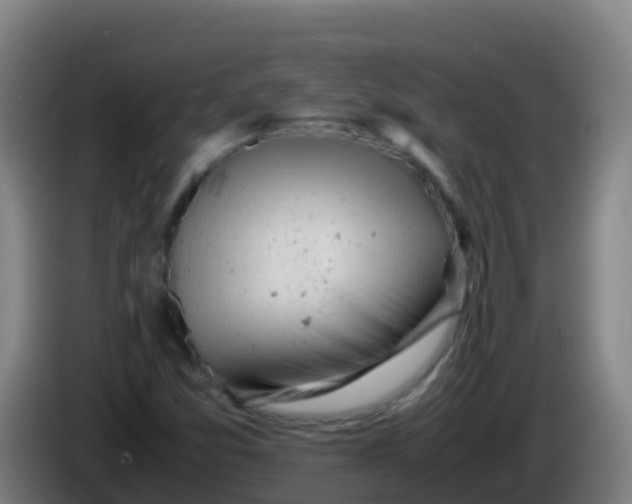 X0000086291357200704201915