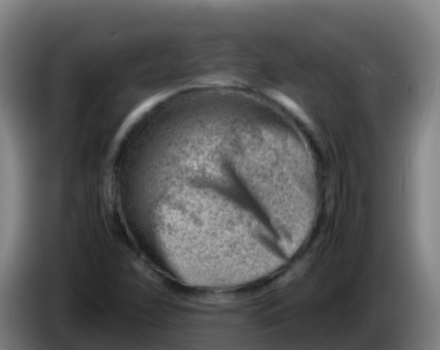 X0000086291358200704201915
