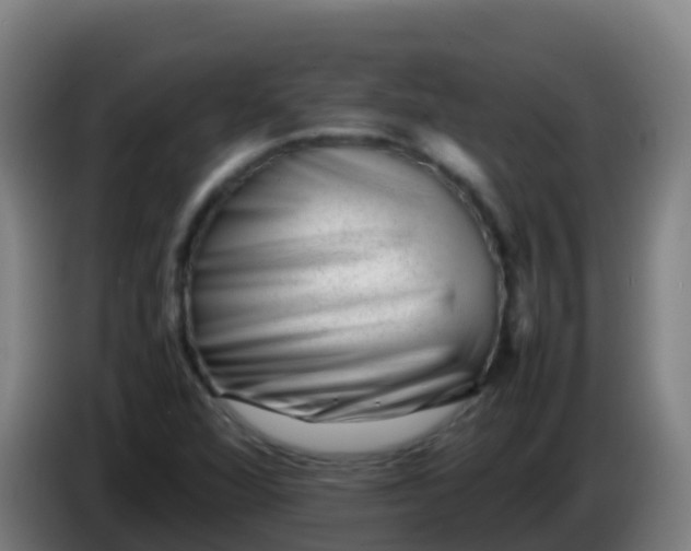 X0000086291360200704201915