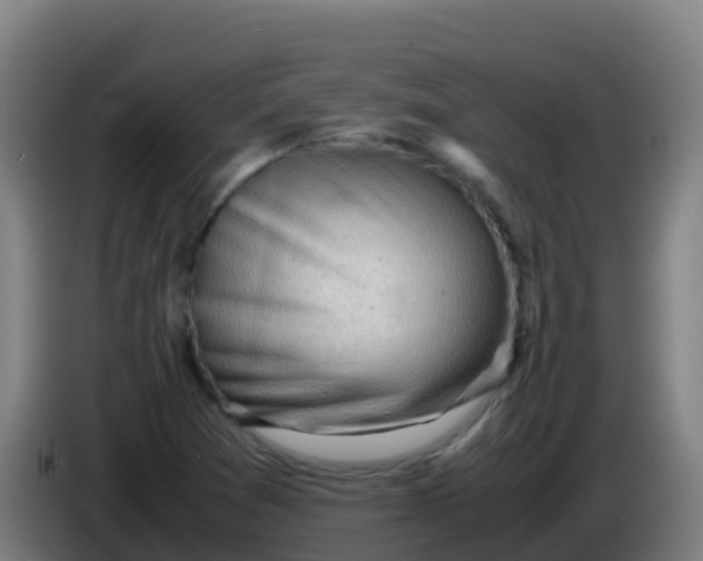 X0000086291361200704201915