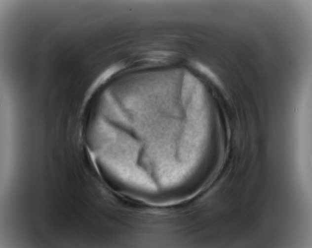 X0000086291362200704201915