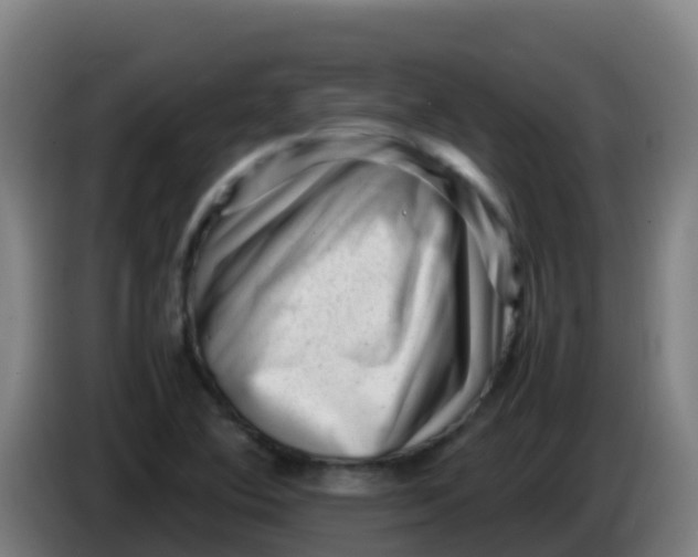 X0000086291364200704201915