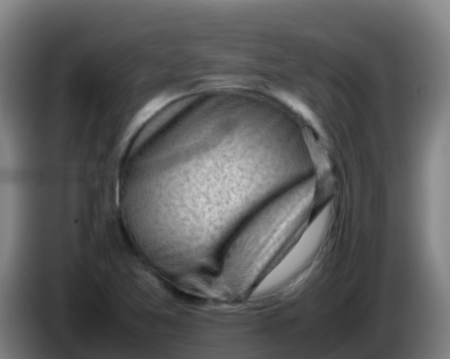 X0000086291365200704201915