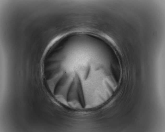 X0000086291366200704201915