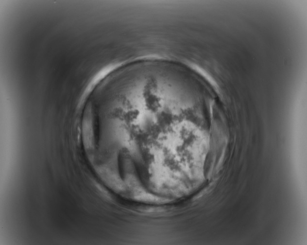 X0000086291367200704201915