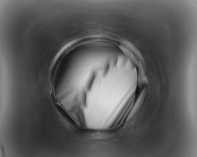 X0000086291368200704201915