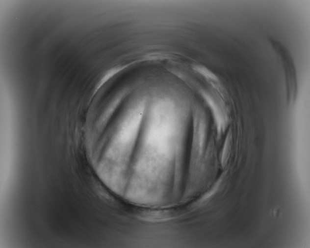 X0000086291369200704201915