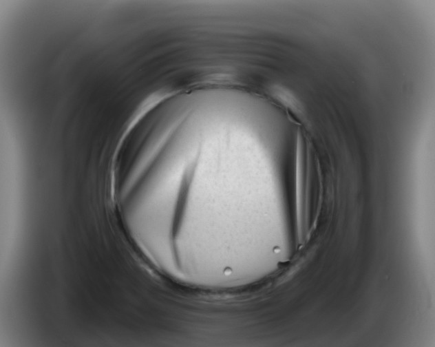 X0000086291370200704201915