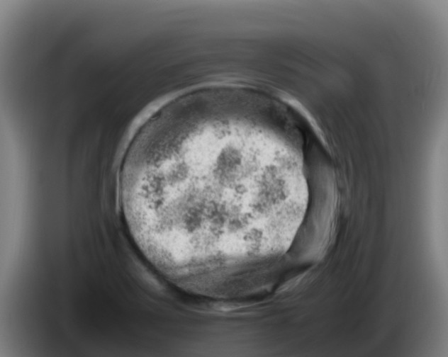 X0000086291371200704201915