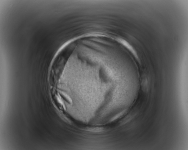 X0000086291372200704201915