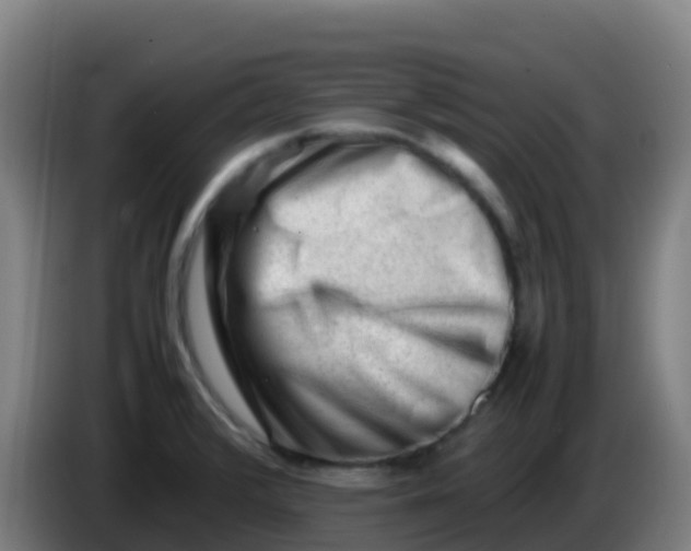 X0000086291376200704201914