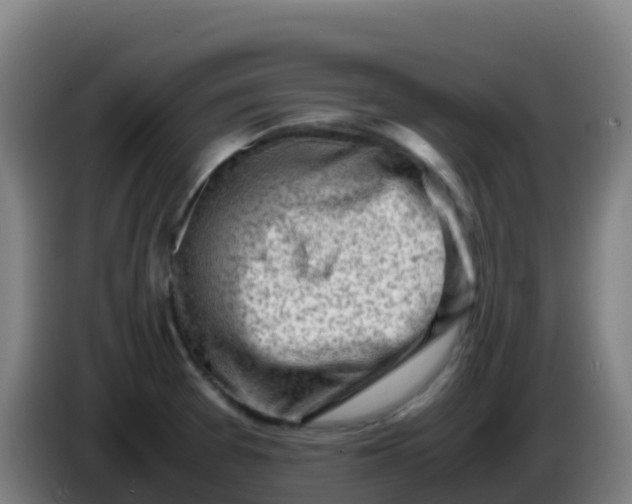 X0000086291377200704201914