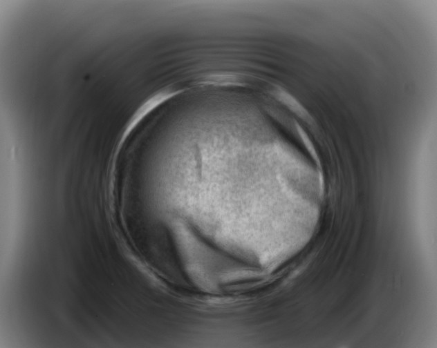 X0000086291378200704201914