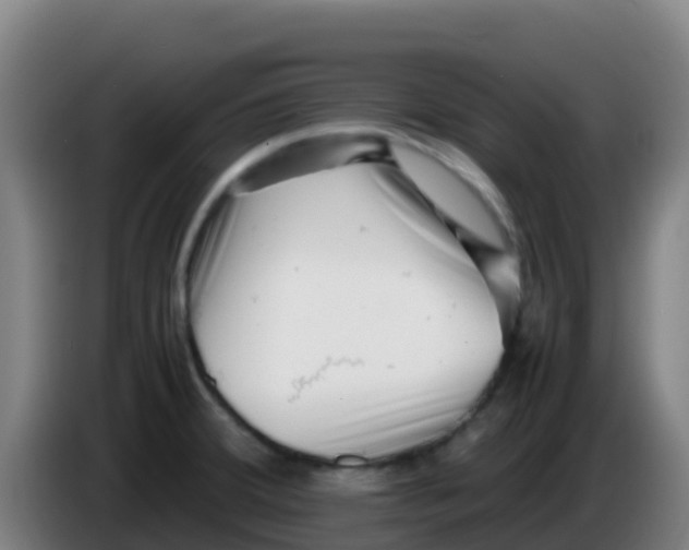 X0000086291380200704201914