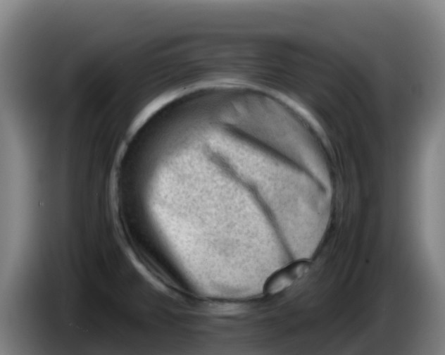 X0000086291382200704201914