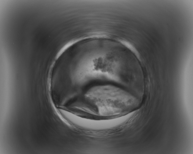 X0000086291383200704201914