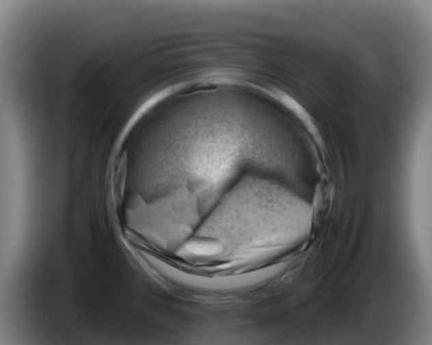 X0000086291384200704201914