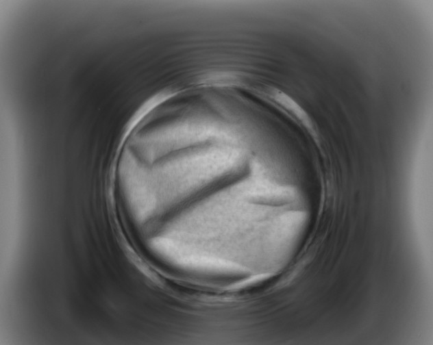 X0000086291386200704201914