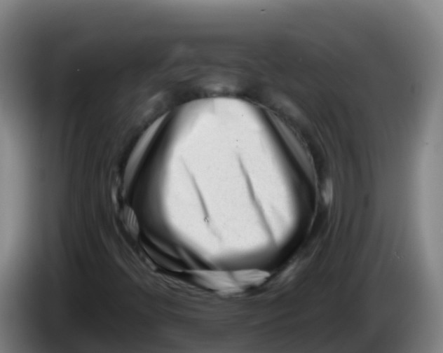 X0000086291396200704201914