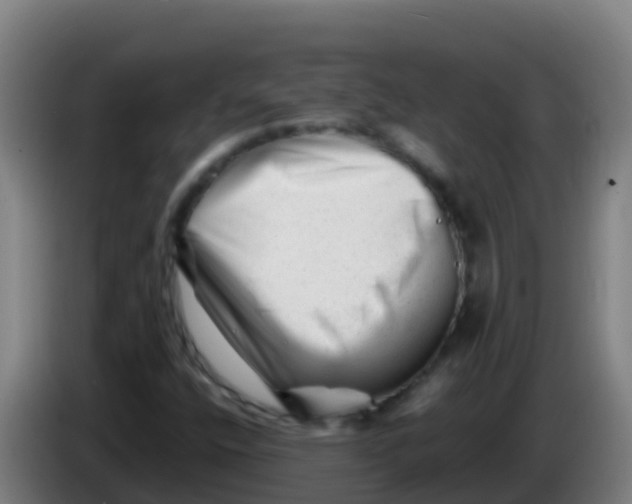 X0000086291400200704201914
