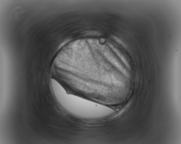 X0000086291401200704201914
