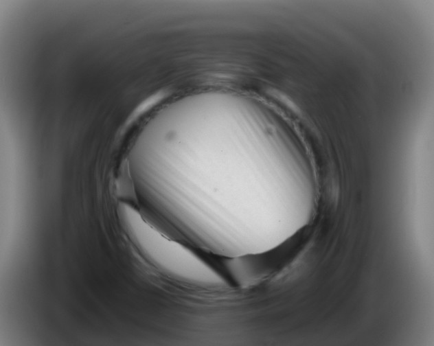 X0000086291402200704201914