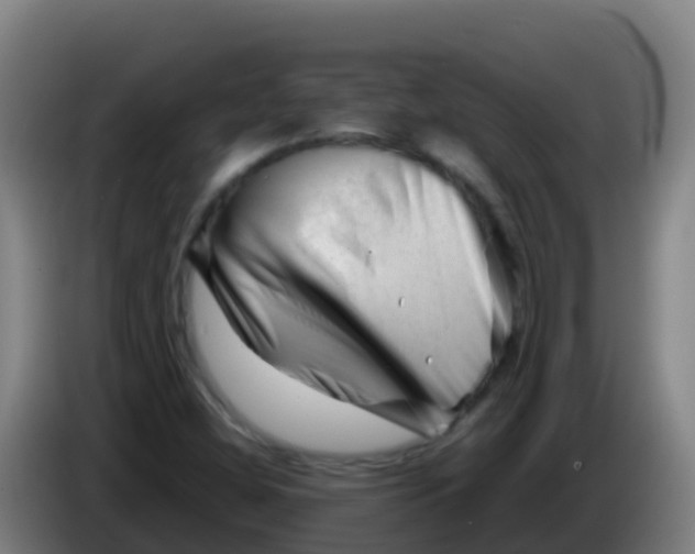 X0000086291404200704201914