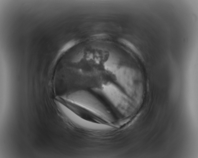 X0000086291405200704201914