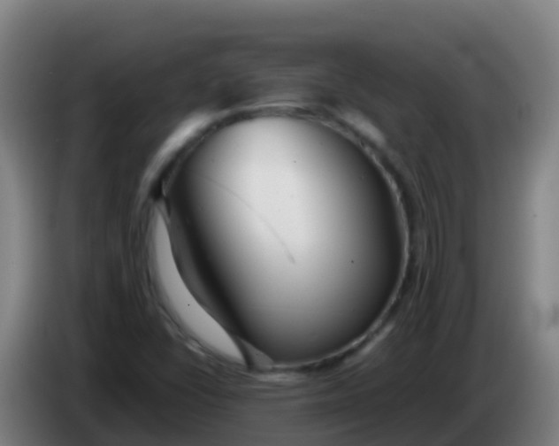 X0000086291406200704201914