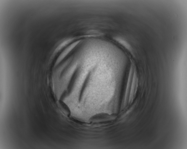 X0000086291407200704201914