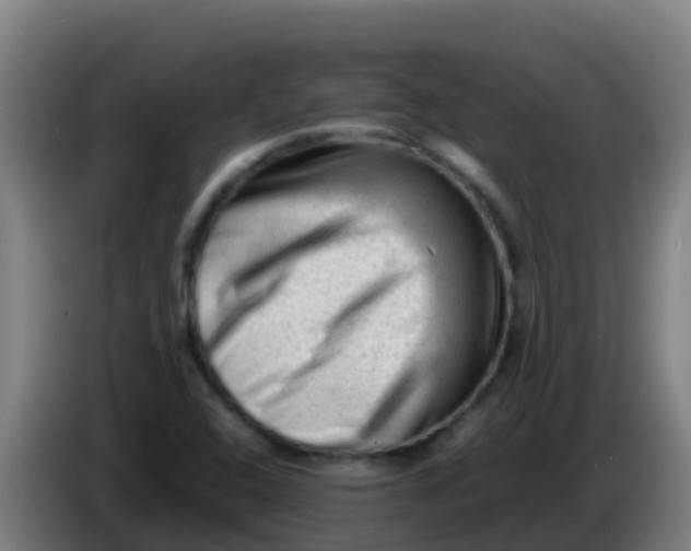 X0000086291408200704201914