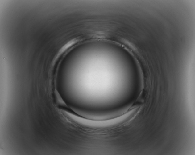 X0000086291410200704201914