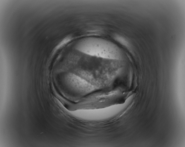X0000086291411200704201914