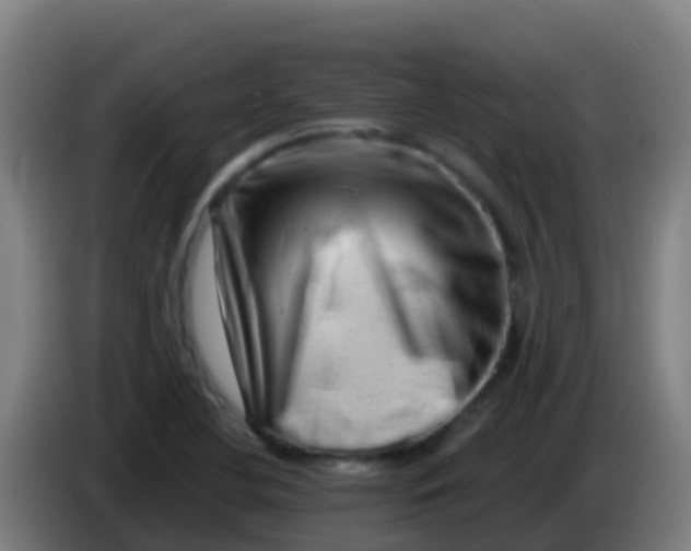 X0000086291412200704201914