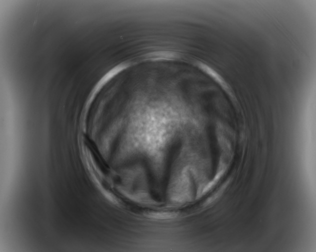 X0000086291418200704201914