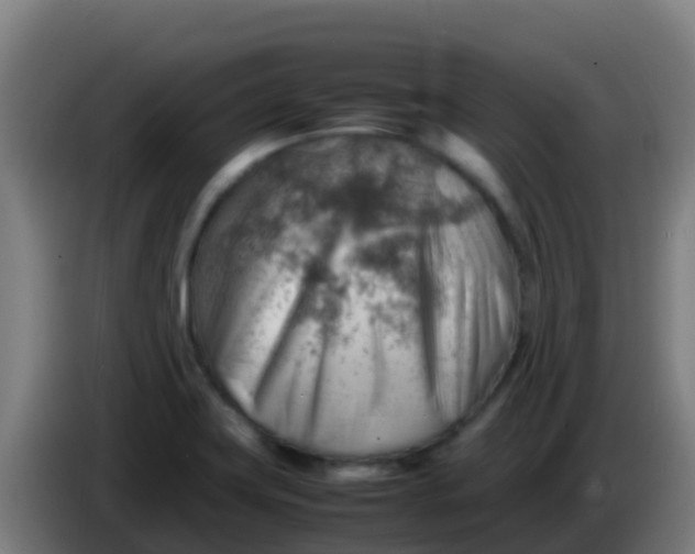 X0000086291419200704201914
