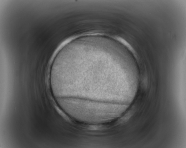 X0000086291421200704201914