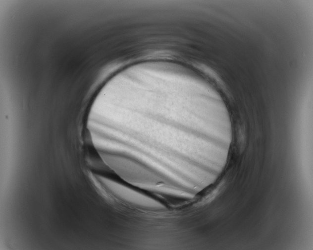 X0000086291422200704201914