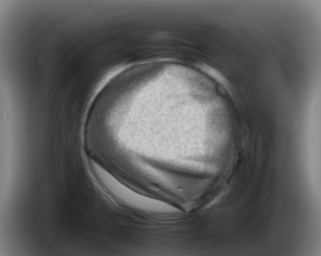 X0000086291423200704201914
