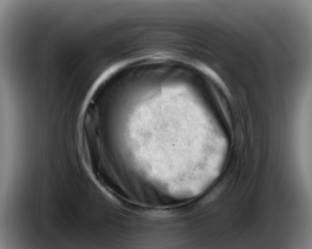 X0000086291424200704201914