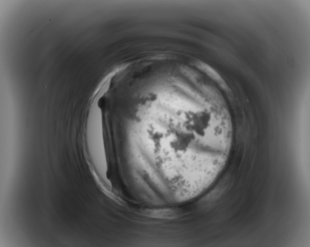 X0000086291425200704201914