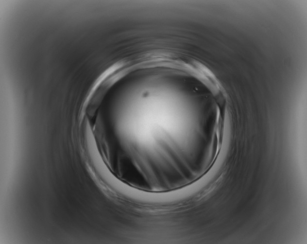 X0000086291426200704201914