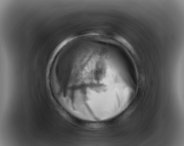 X0000086291427200704201914